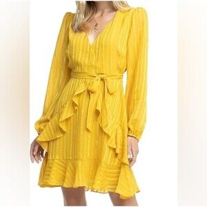 ASTR THE LABEL Ruffle L/S Tie Front Flared Dress Sz M Ruffle Coquette Fairy Boho